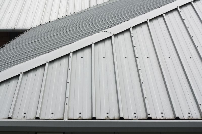Metal Roof Coating Service