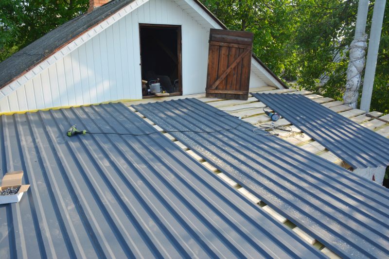Metal Roof Coating Service